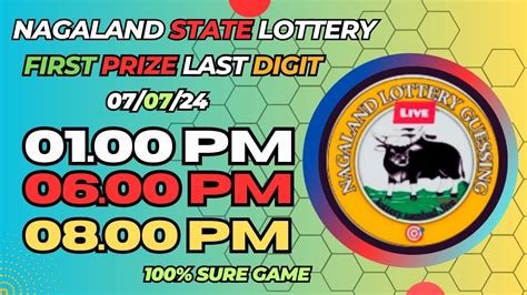 nagaland lottery first prize last number target|First Prize Last Digit .